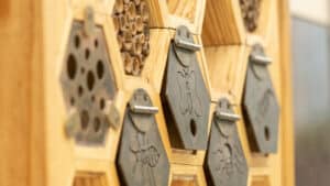Insect Hotels at Fosse Park